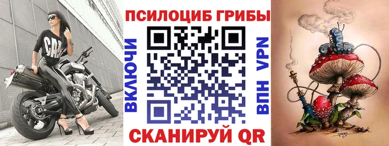 Галлюциногенные грибы Psilocybe  Люберцы 