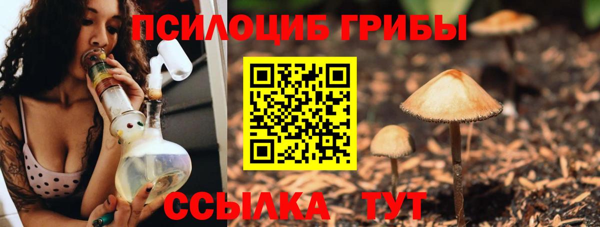 Галлюциногенные грибы MAGIC MUSHROOMS Люберцы